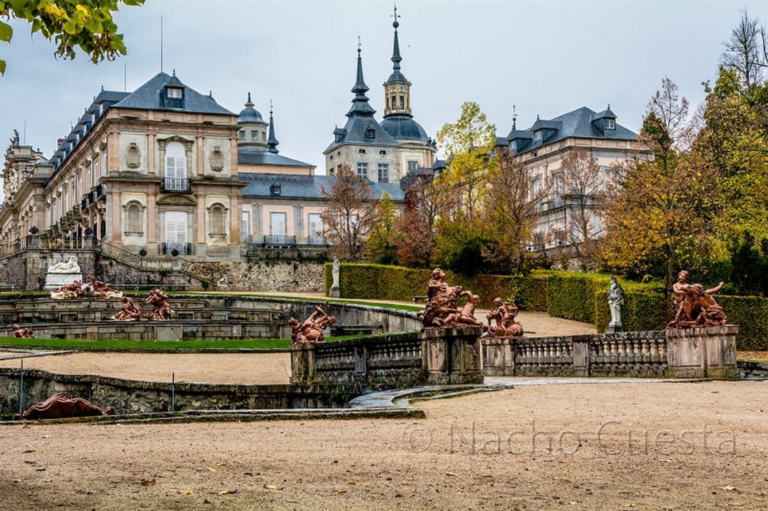 PARTERRE-DE-LA-SELVA-(OTOÑO-II)-b_01